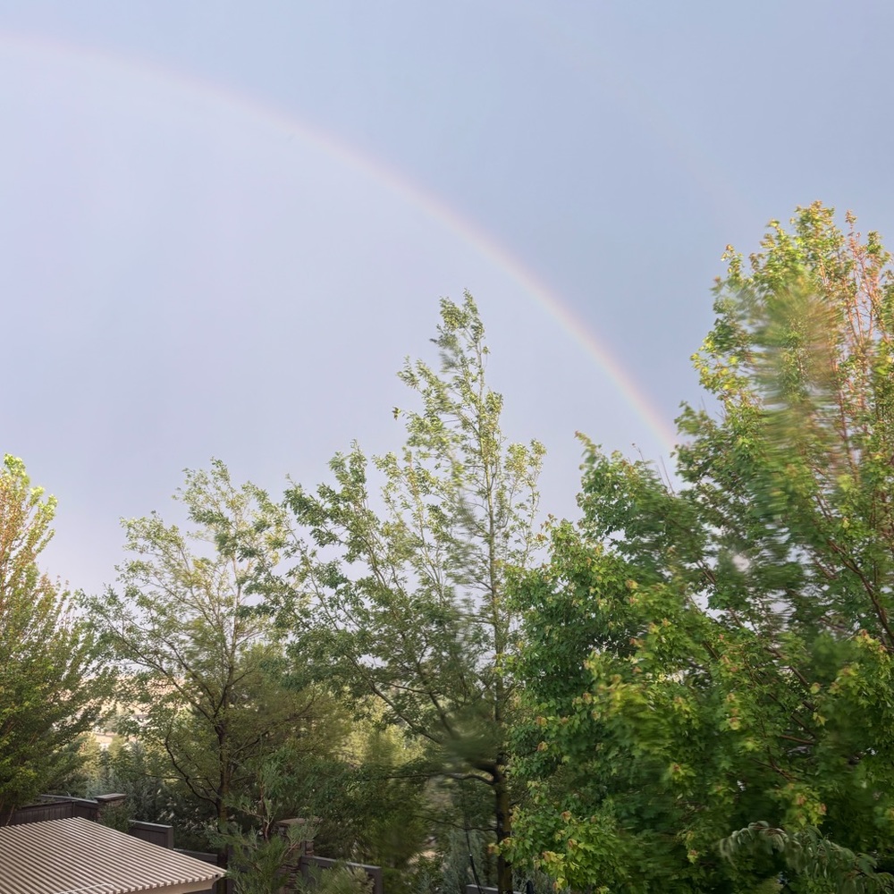 Meet your Posher, Payton